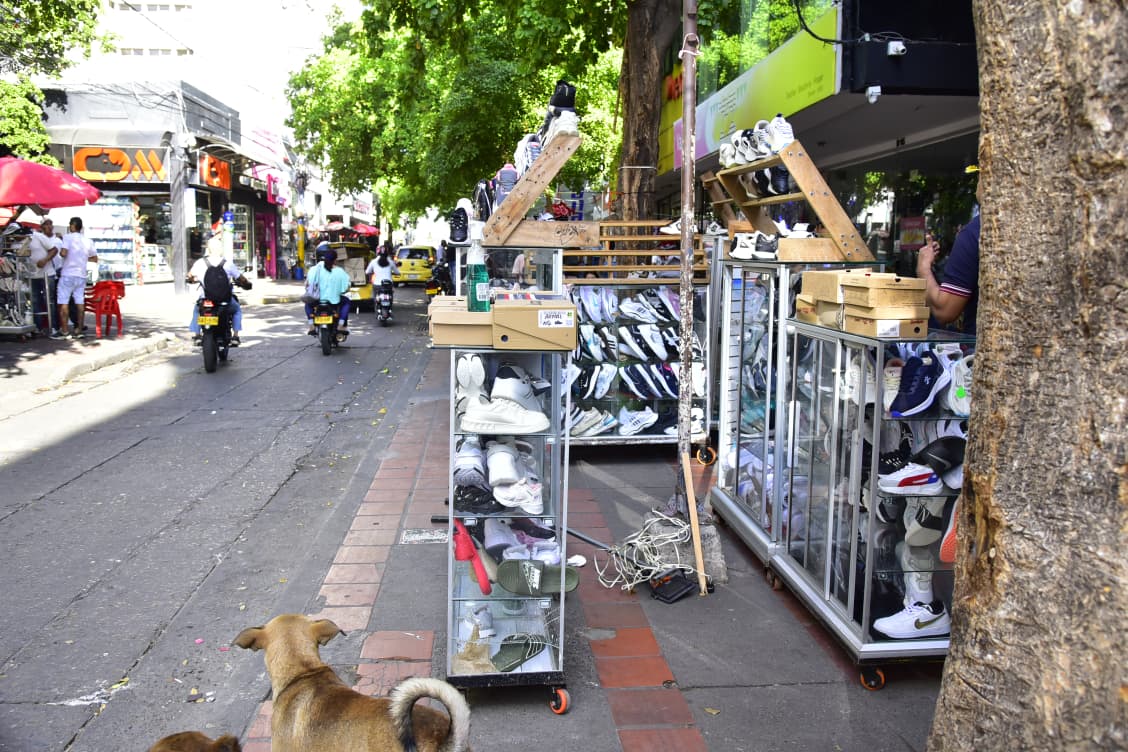 OPERATIVO NAVIDAD CENTRO_ALCALDÍA DE VALLEDUPAR (6).jpeg